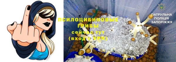 скорость Алзамай