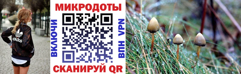 Галлюциногенные грибы GOLDEN TEACHER дарнет шоп shop наркотические препараты Александровское
